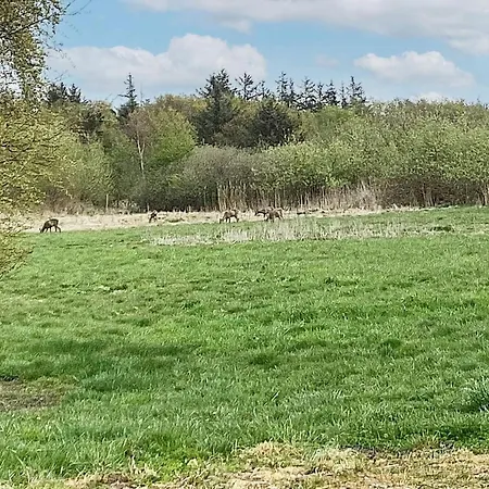 Casa de Férias 24 Person In